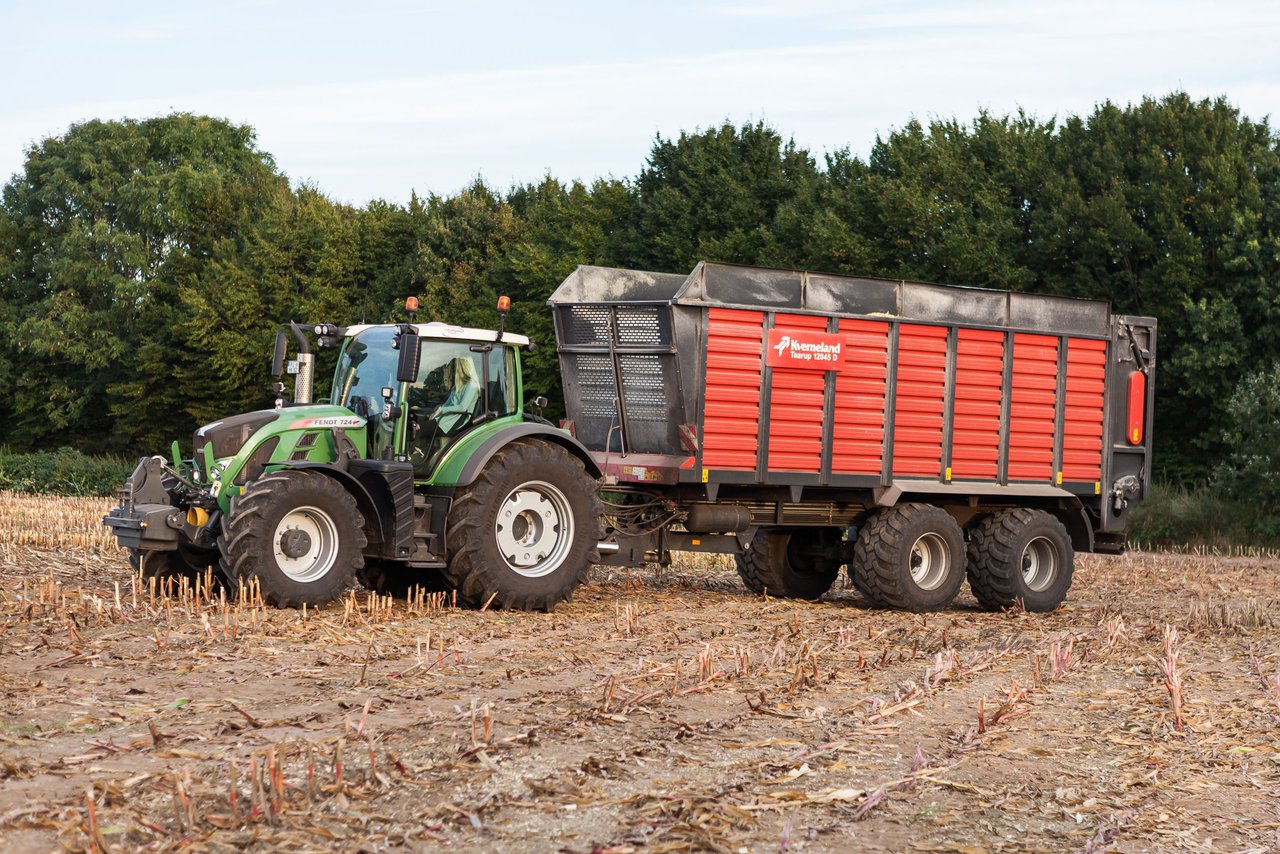 Bild 107 - Maisernte 2016